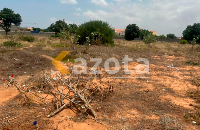 Terreno 1,02 Hectares – Patriotas (Via Expressa Zona Verde)