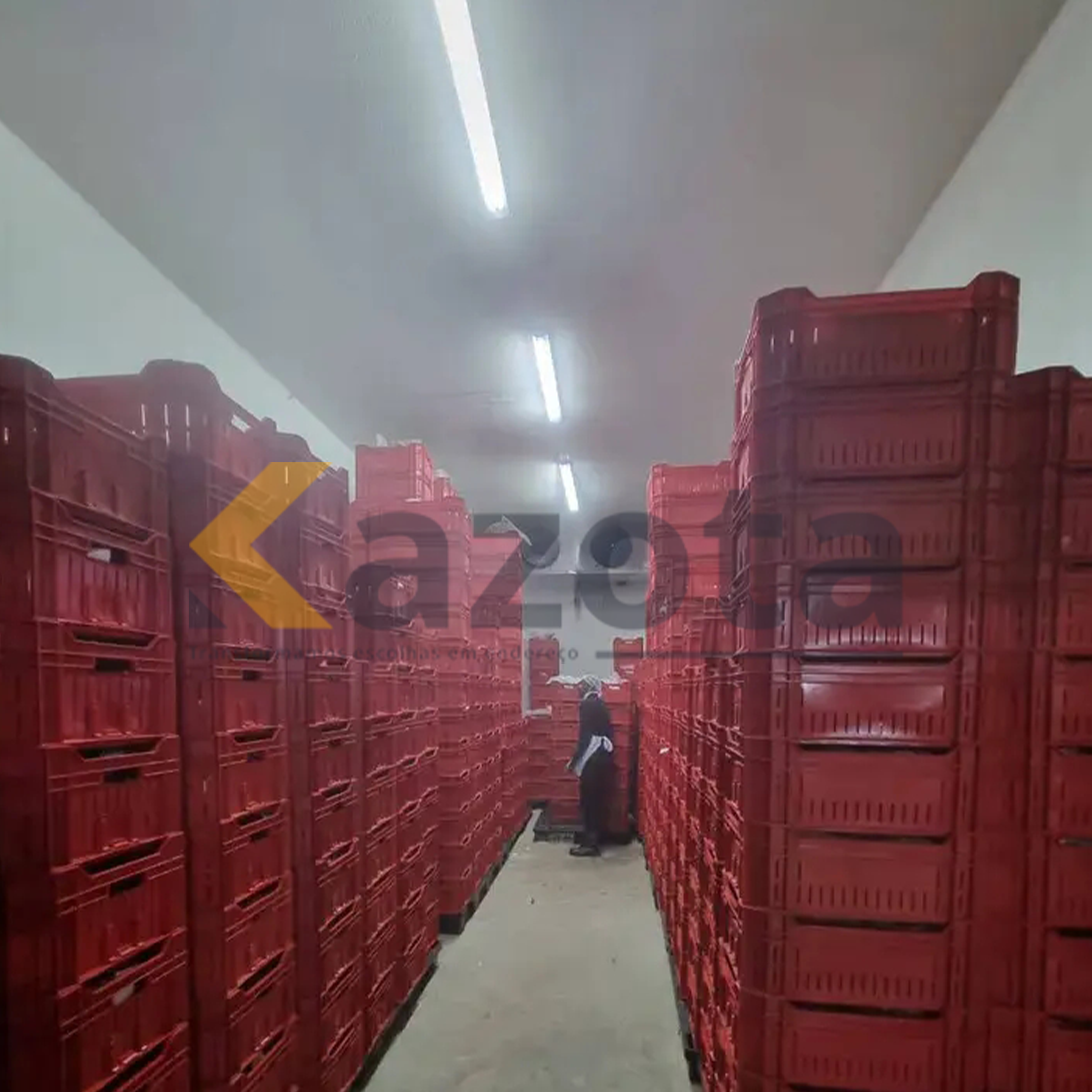 Indústria de Fabrico e Processamento de Carne – Viana Park