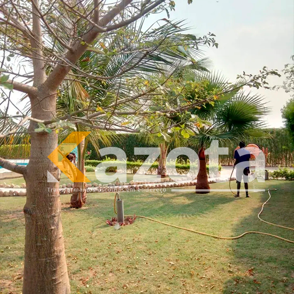 Fazenda 4 Hectares – Estrada de Catete (Próximo ao Novo Aeroporto)