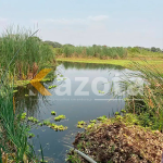 Fazenda 33 Hectares com Duas Vivendas – Caxito, Bengo